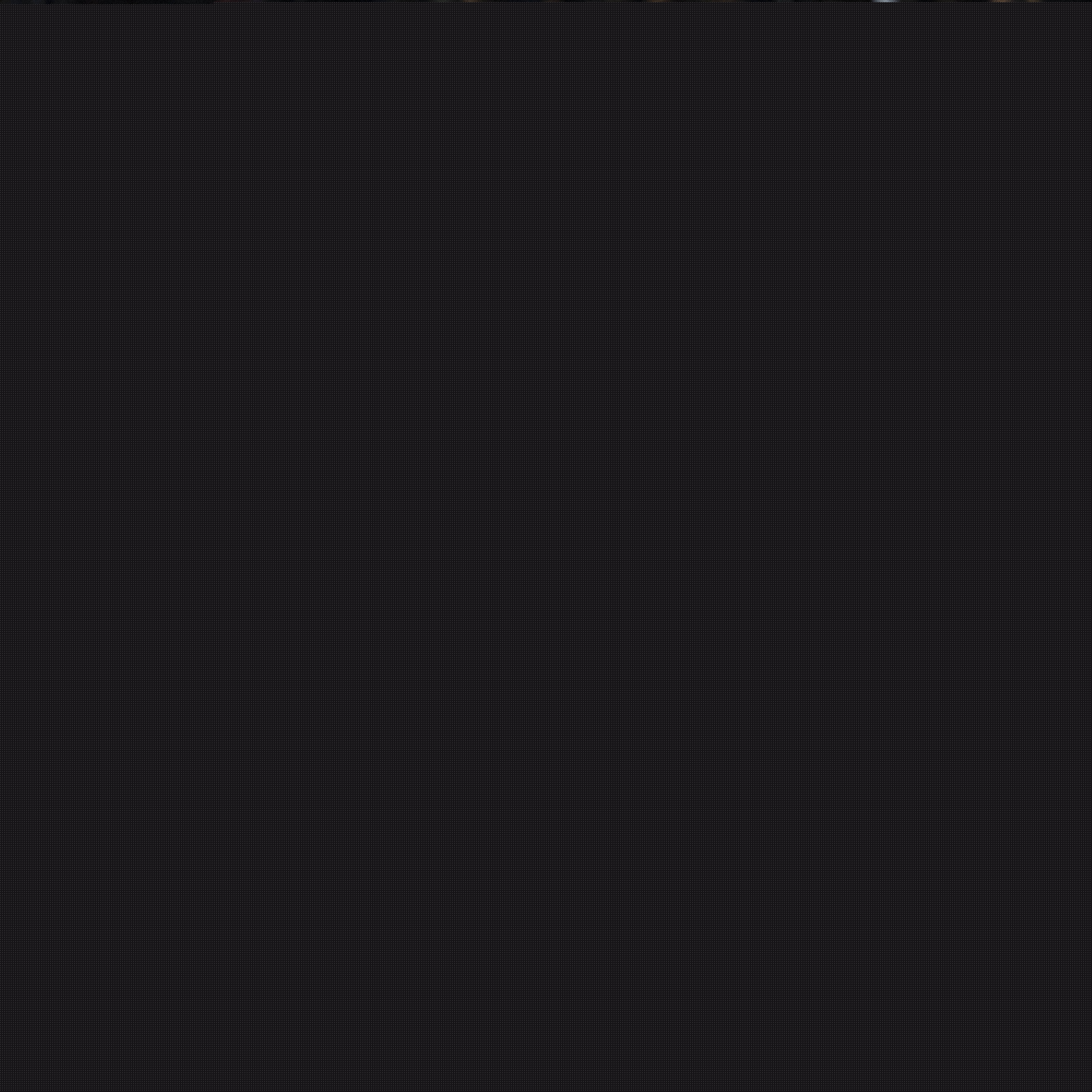 在人生的道